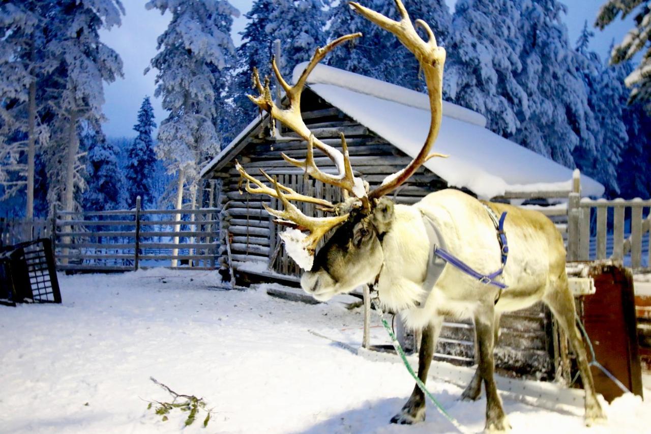 Holiday Club Salla Superior Apartments Exterior foto